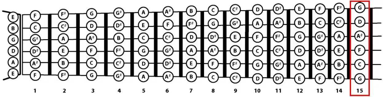 Abs notes