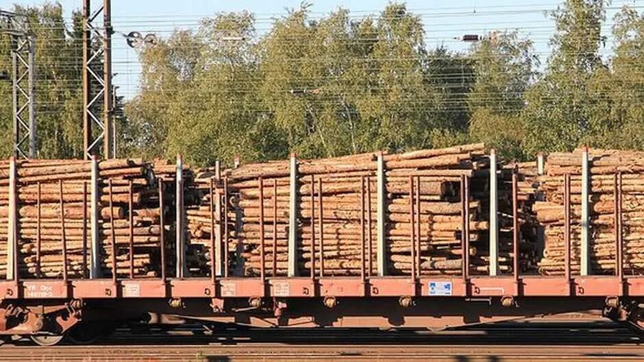 Погрузка лесных грузов. Погрузка круглого леса в полувагон. погрузка леса в вагоны. вагоны с лесом. вагон лесовоз.