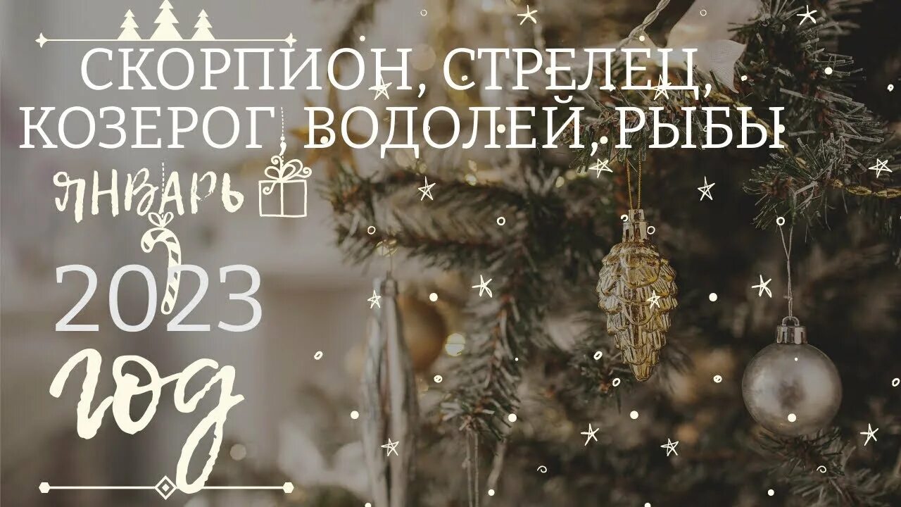 Таро прогноз на декабрь 2025 рыбы. Таро прогноз на декабрь 2025 рыбы