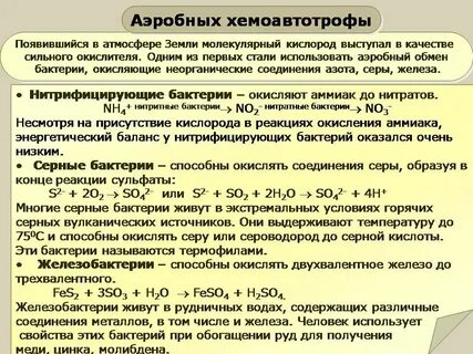 Хемосинтез таблица