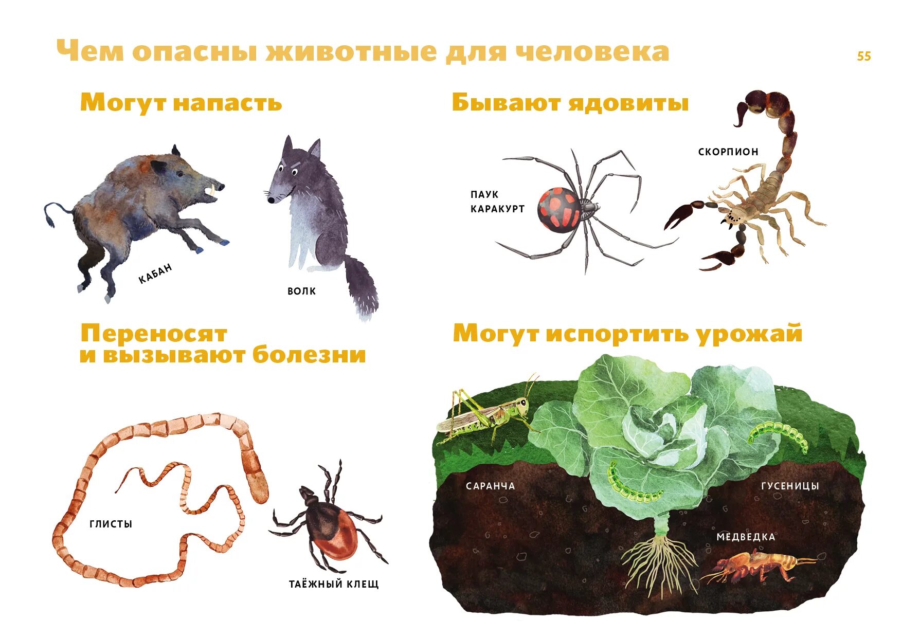 Вредныеные для человека животные. Чем опасны животные для человека.