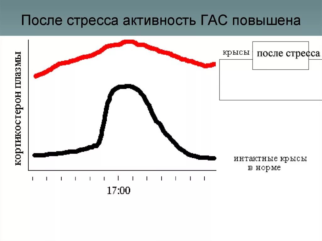 Последствия эустресса. Преодоление стрессовых ситуаций. Признаки стресса. Фазы и симптомы стресса. Физические проявления стресса.