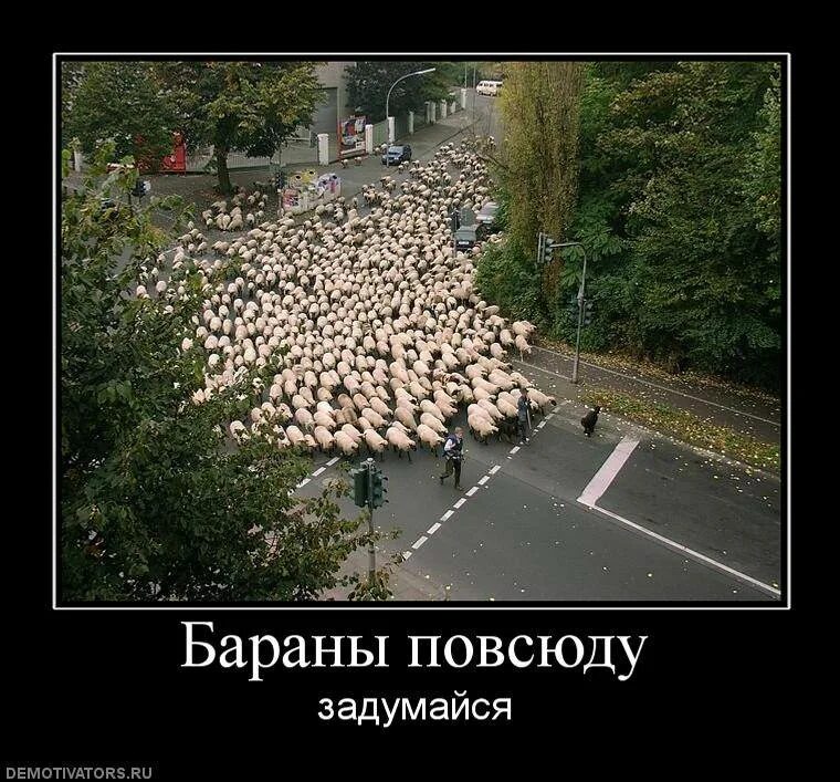 Напомнить выбор. Подарок женщине. Девушка перед выбором. Выбрать фото. Напомнить выбор.