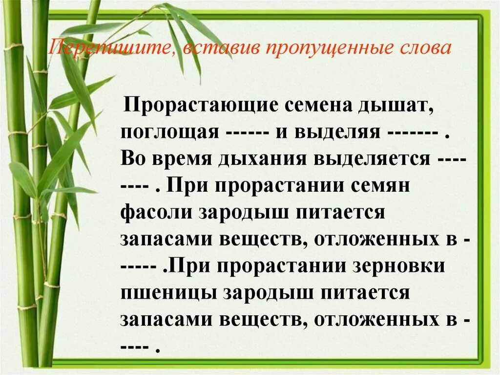 Дышат ли семена. Дыхание семян. Дыхание семян биология 6 класс. Дыхание семян опыт. Эксперимент дыхание семян.