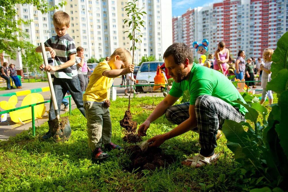 Природы в общественных местах. Озеленение детского сада. Озеленение территории города. Детям об экологии. Высадка деревьев в городе.