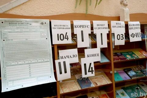 Когда придут результаты цт 2024