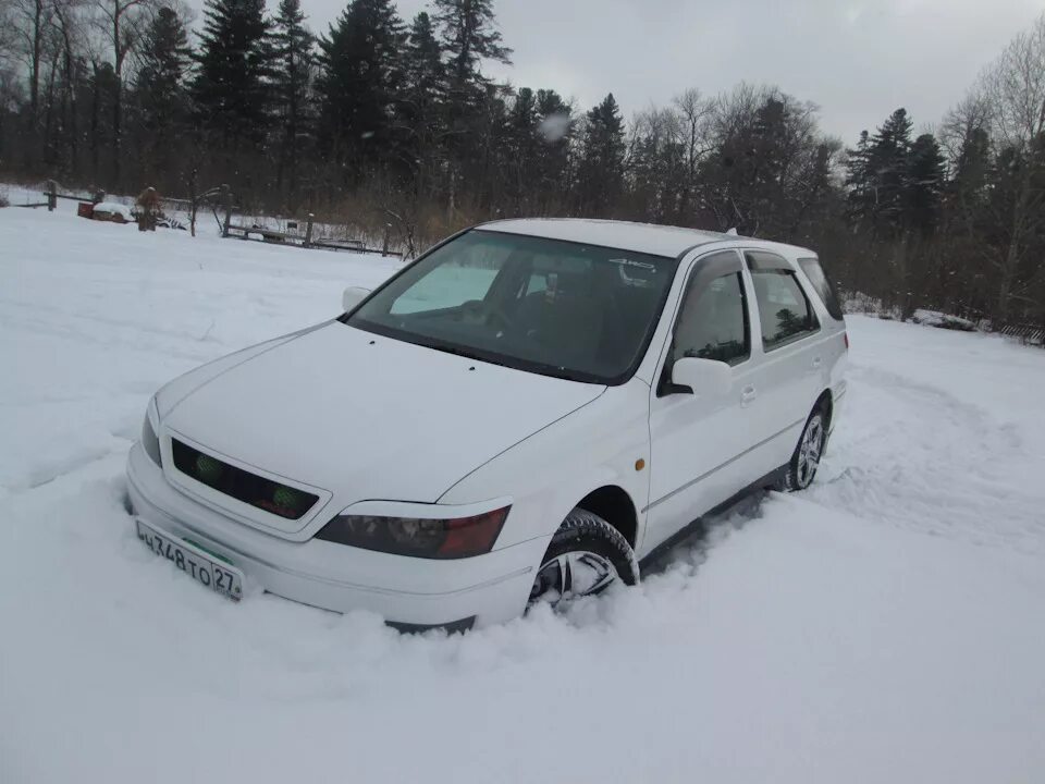 Тойота ардео 1999. Тойота виста ардео 2002. Toyota vista 50. Виста ардео барнаул. Тойота виста ардео 1998 года.