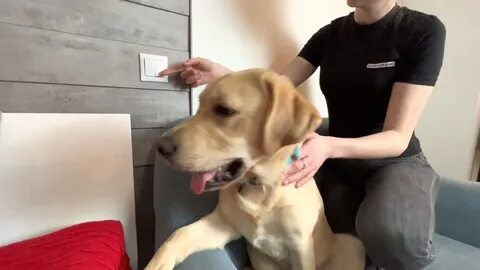 Дени и мени видео