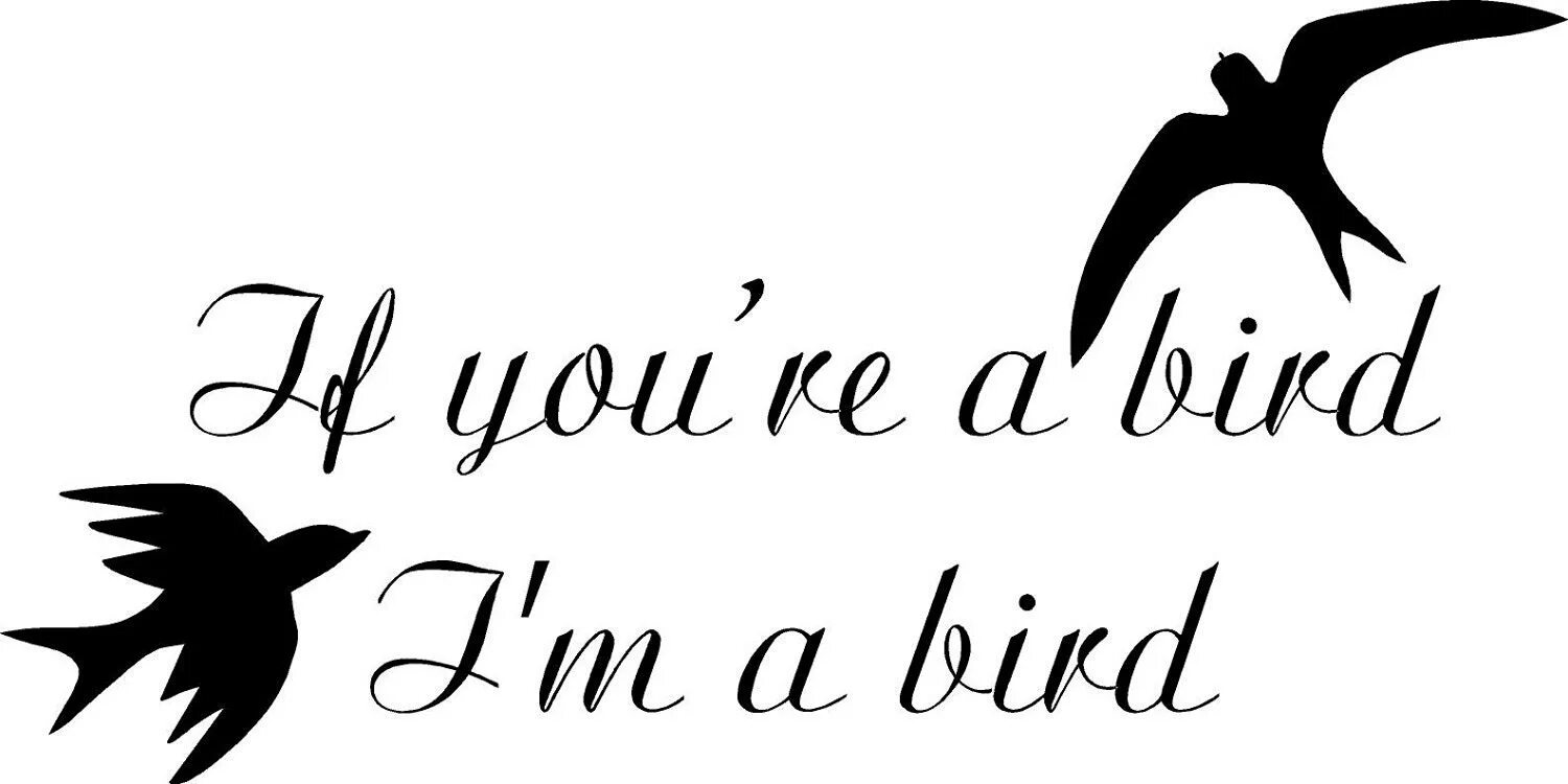 I love birds. I Love you птички. If you re a Bird, i m a Bird. Try me птички. Bird Wish певец.