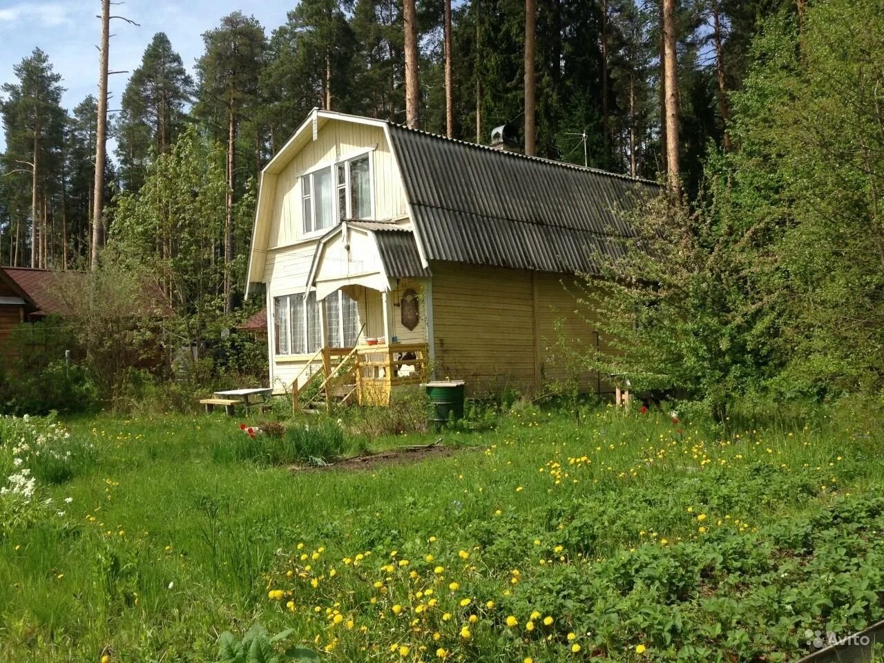 Загородная петрозаводск. Лучевое 1 Карелия. Лучевое 2 Карелия. Дача в Карелии. Дача лучевое 1.