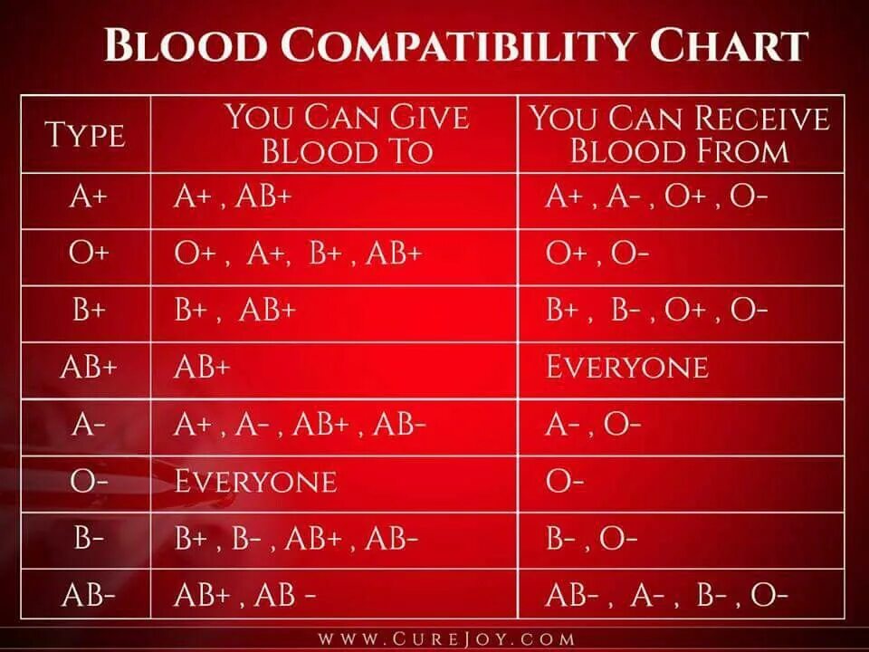 H антиген. Blood types. 4 blood type. 4 blood type. Antigen and antibody.