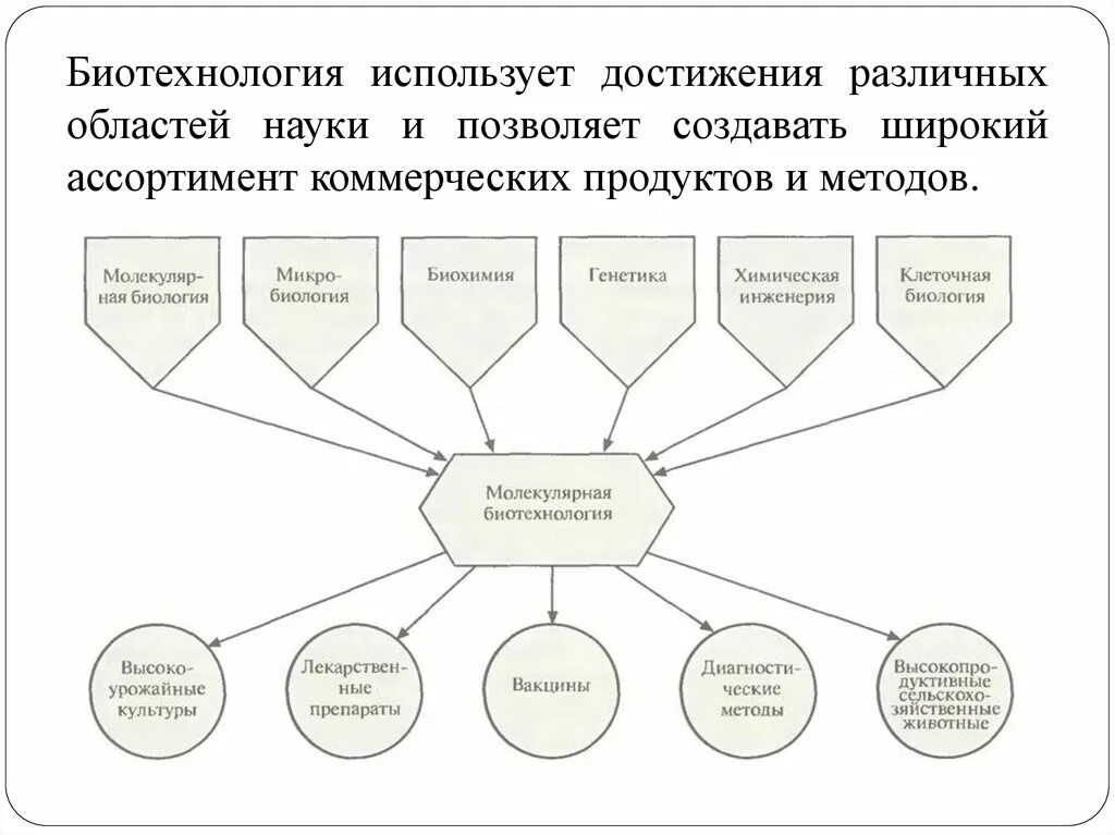 Методы направления биотехнологии. Направления биотехнологии схема. Разновидности биотехнологии. Биотехнология таблица. Достижения биотехнологии.