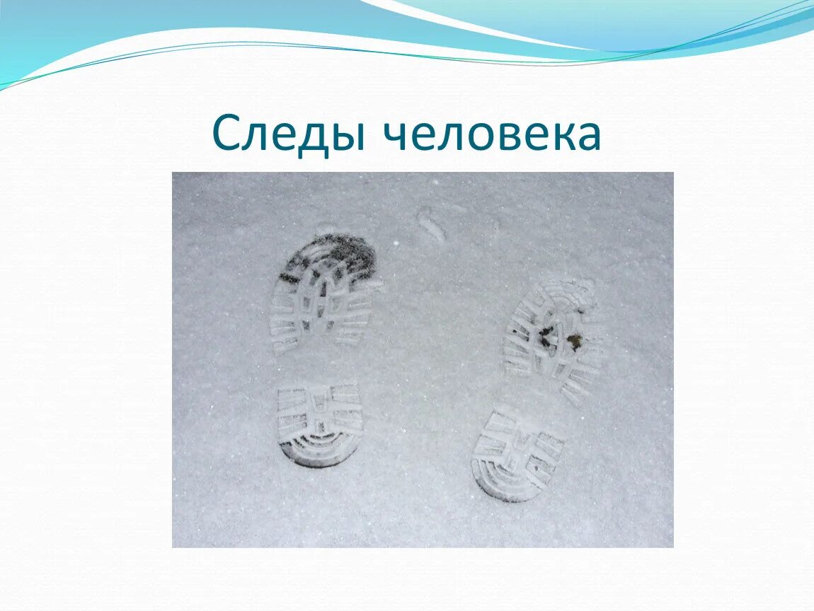 След м. Следы на снегу презентация. Следы на снегу рисунок. След на снегу для старшей группы. Презентация на тему следы на снегу.