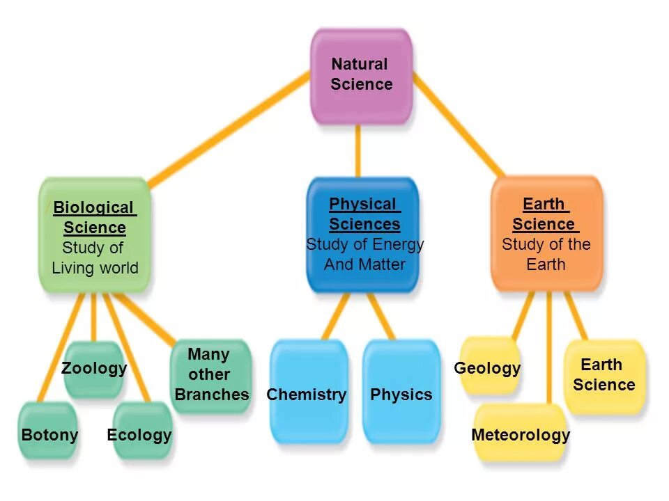 Natural Sciences Biology. Types of Science. Branches of Science. Естественные науки на английском.