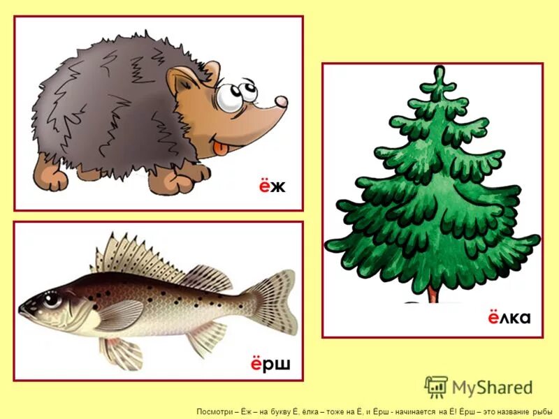 Слова на е еж. Буква е для детей. Буква ё картинки для детей. Слова на букву е. Азбука для дошкольников ежата.