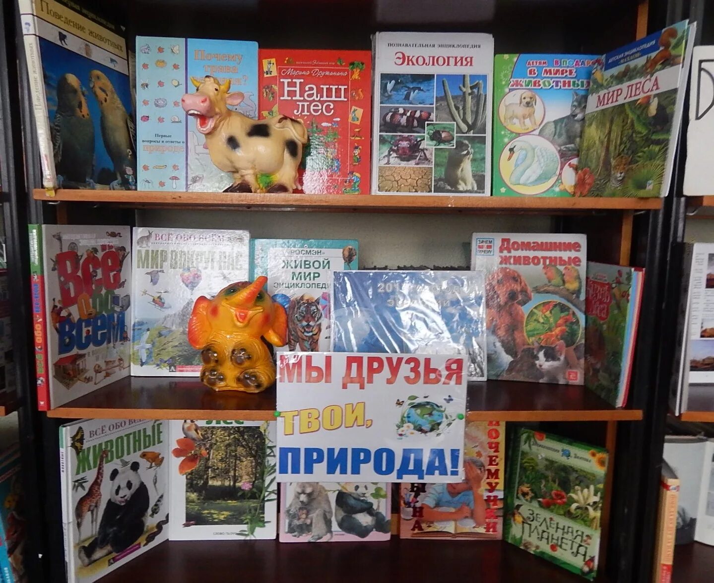 год экологии мероприятия в библиотеке