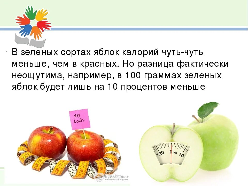 Зеленое яблоко калории на 100. Яблоко калорийность на 100 грамм. Калорийность маленького яблока. Зеленое яблоко калории 1 шт.