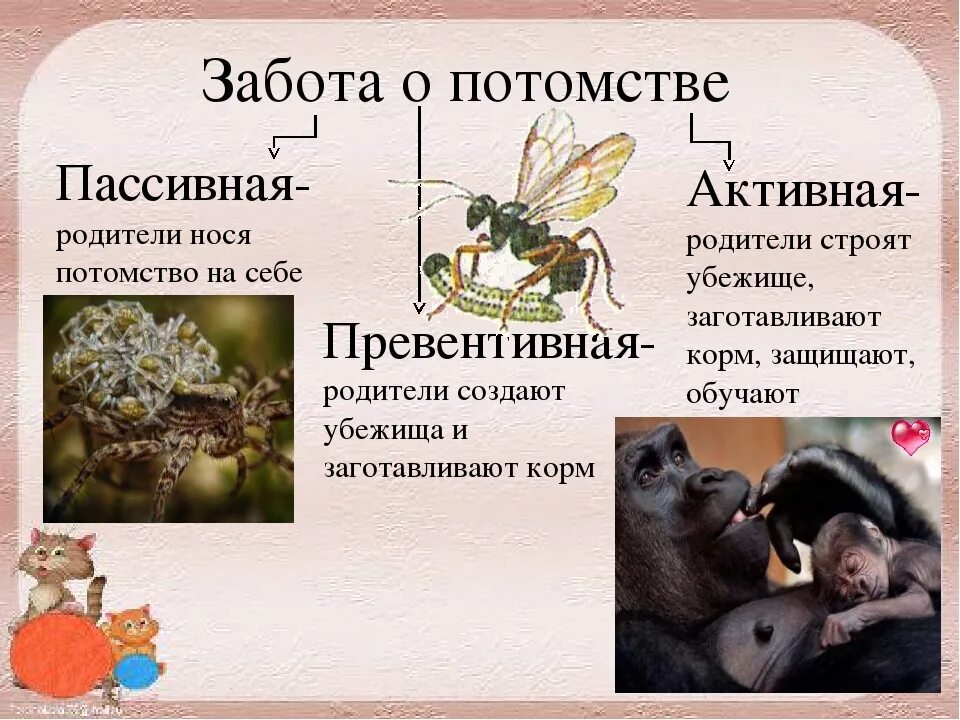 Забота родителей о потомстве. Забота о потомстве. Виды заботы о потомстве. Забота о потомстве у животных. Забота о потомс.