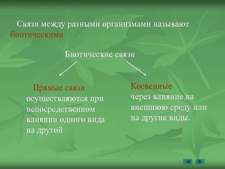 Приведите примеры прямого и косвенного воздействия. Прямые и косвенные связи. Римеры косвенных трофических связей. Примеры прямых и косвенных трофических связей. Пример прямой трофической связи.