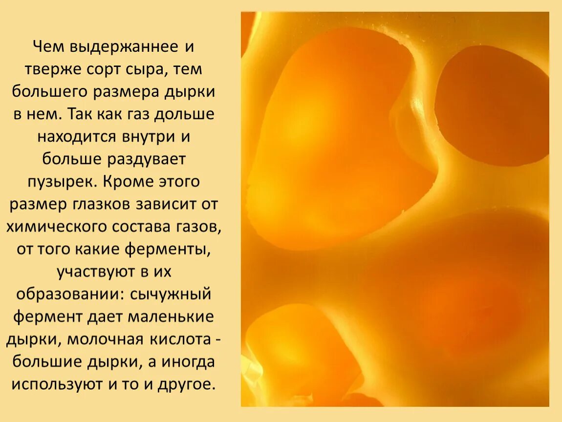 Почему в сыре дырки. Откуда в сыре дырки. Зачем в сыре дырки. Дырки в сыре дырки в сыре. Теория дырок в сыре.