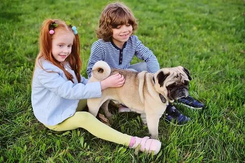 Pet sister