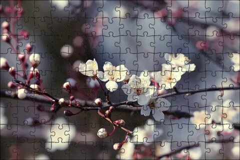 Spring awakens