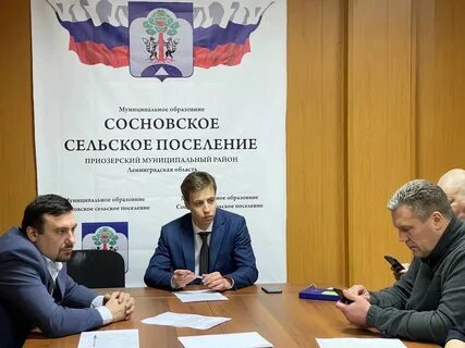 Депутаты сосново