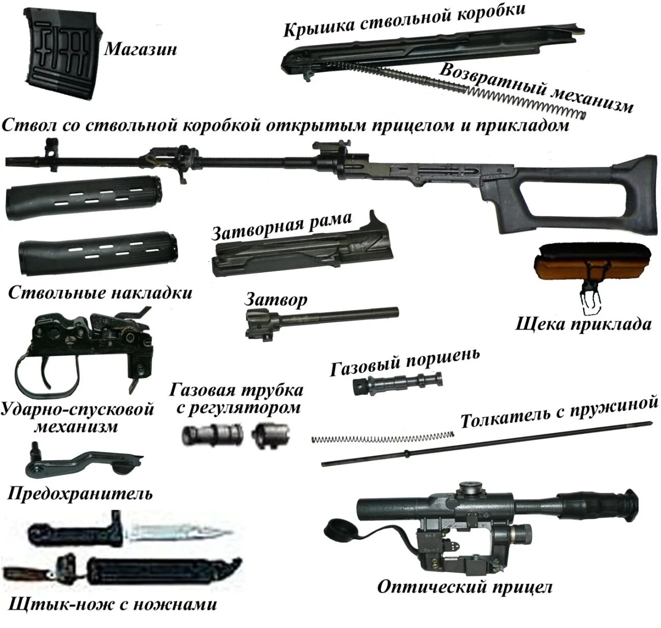 Снайперская винтовка Драгунова ТТХ 7.62. СВД снайперская винтовка Драгунова 7.62. Основные части СВД. ТТХ СВД 7.62.