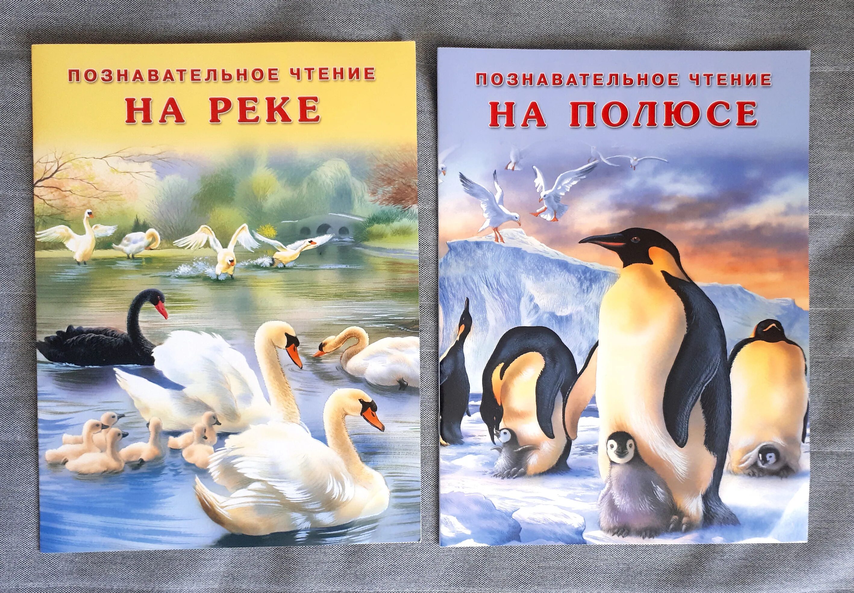 книжки для детей. дети читают. книги про африку. познавательное чтение. познавательное чтение.