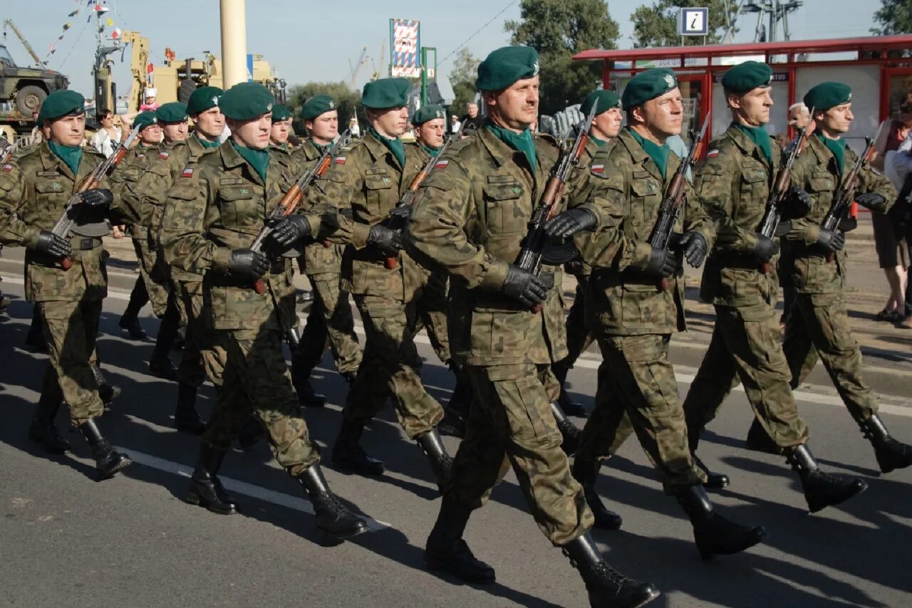 Войска Польши. Военная форма. Польская Военная форма современная. Военные Польши. Военная форма мобилизация