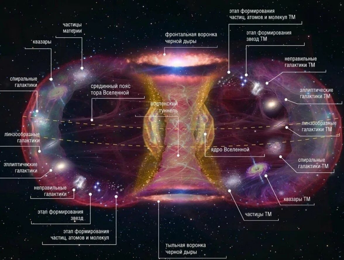 Стационарное ядро. Строение Вселенной схема. Структура Вселенной схема астрономия. Строение Вселенной схема структуры астрономия. Системы галактик и крупномасштабная структура Вселенной.