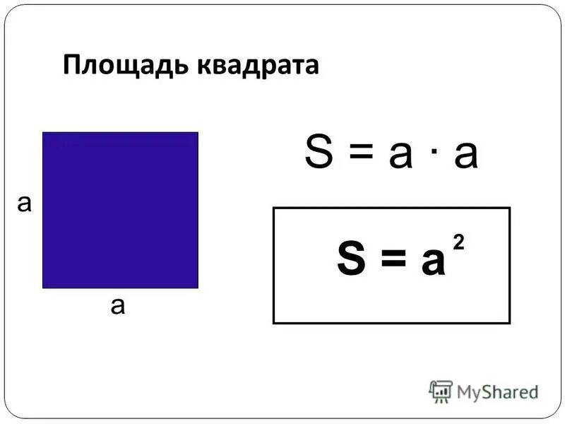 Какова площадь квадрата