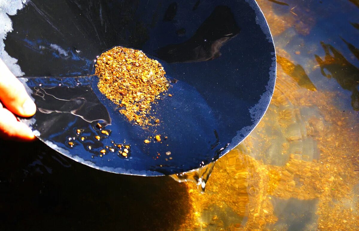 Сколько золота в воде. Добывание золота. Аляска золотодобыча. Золотые самородки на Аляске. Добыча золота из морской воды.