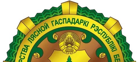 Минлесхоз беларуси