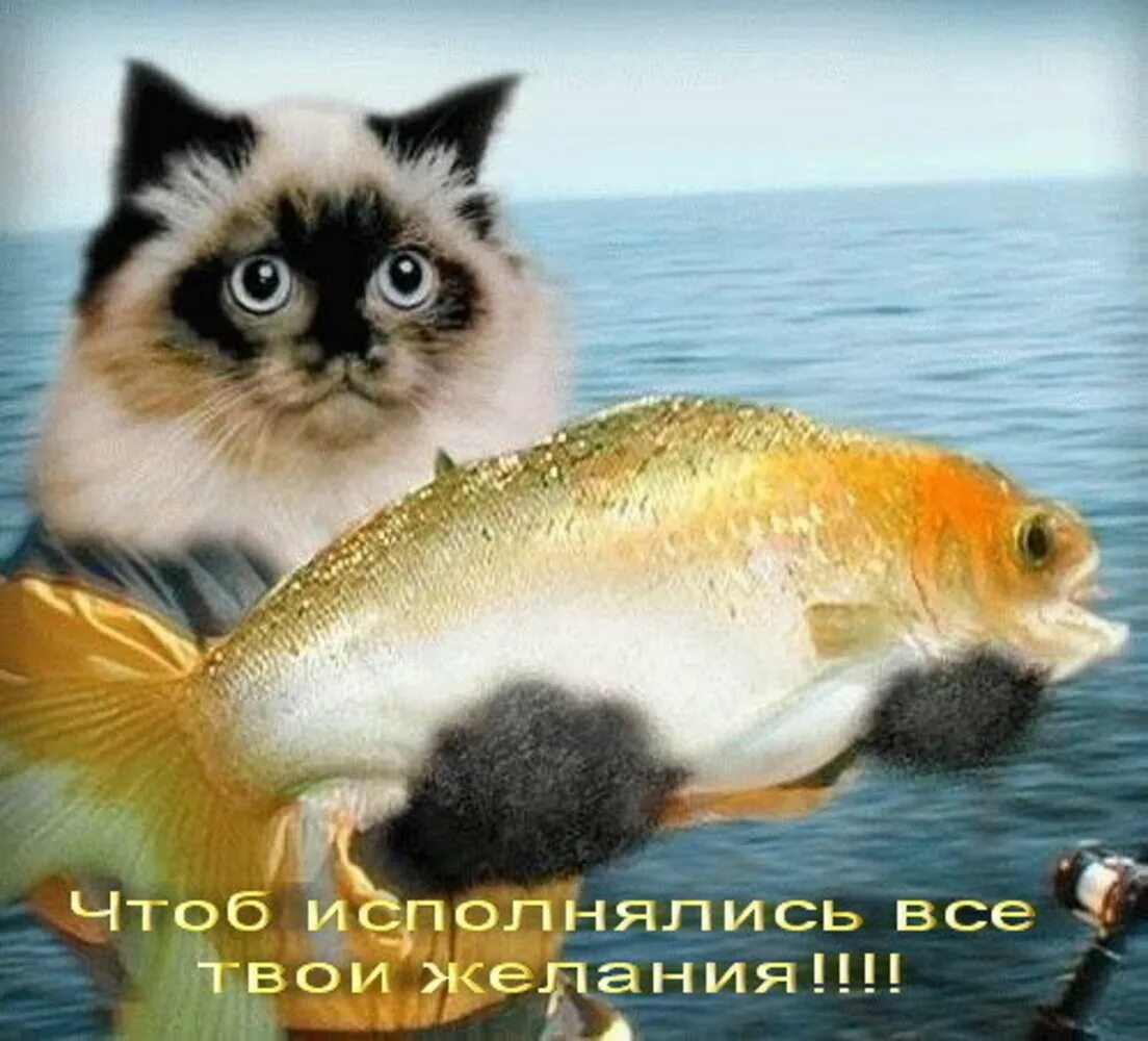 Чтоб исполнялись мечты