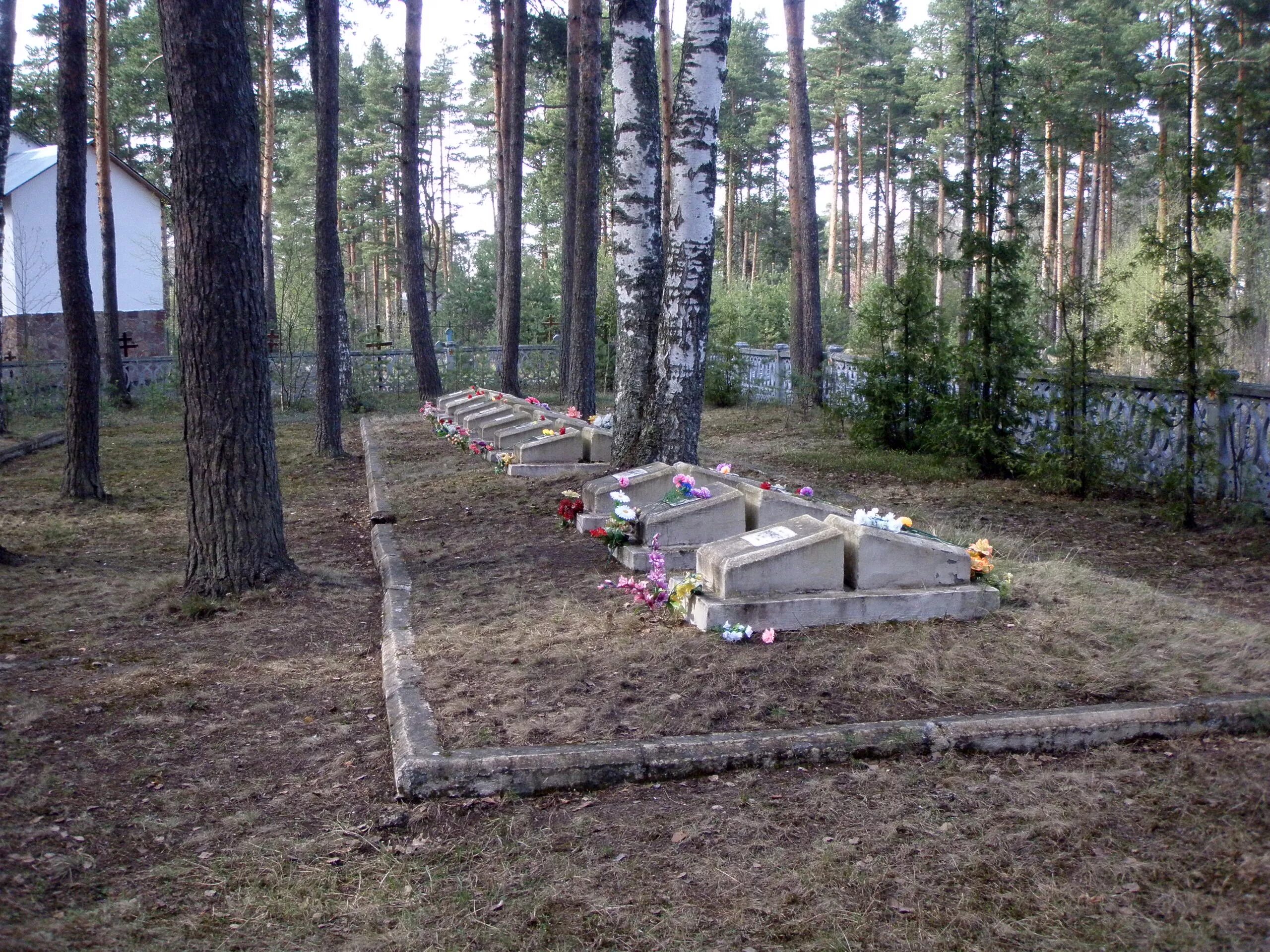 Погода в большой ижоре. Большеижорское кладбище. Усть Ижорское кладбище. Большая Ижора кладбище. Усть-Ижорское кладбище фото.