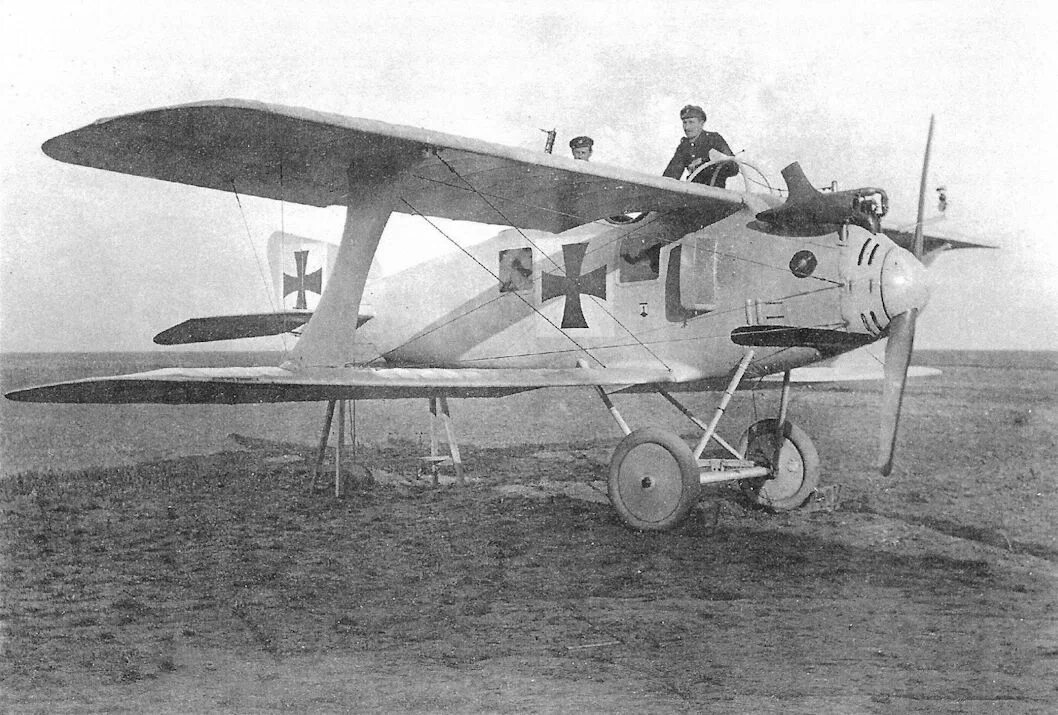 C ii ii ii 8. LFG Roland c.II. Самолет Роланд с II варианты окраски. LFG Roland c.v. Roland plane ww1.