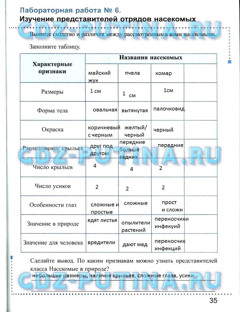 Таблица по биологии 7 класс многообразие насекомых Таблица по биологии 7 класс отряды насекомых ГДЗ Класс Насекомые 5 биология 7