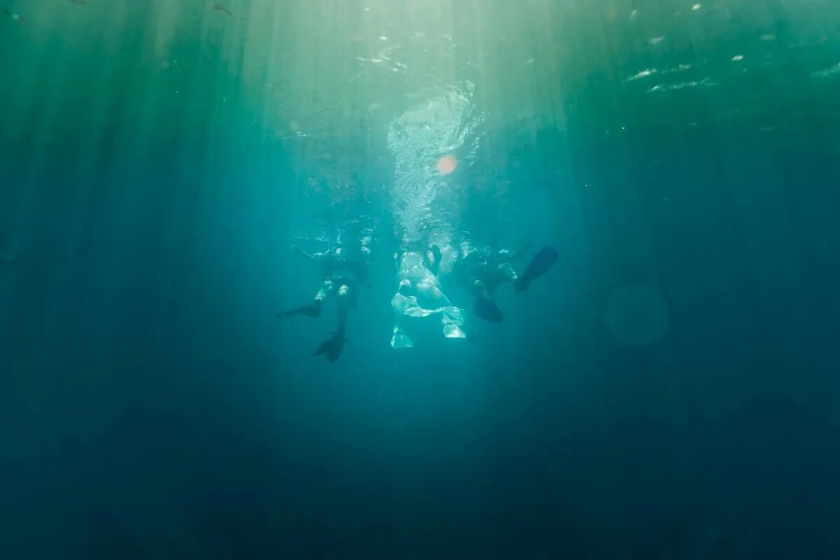 Айфон 15 под водой. Под водой. Карибское море под водой. Глубина. Карибское море глубина.