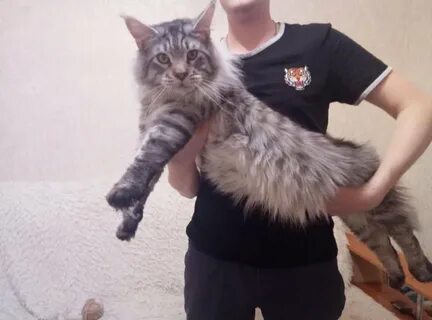 Кун екатеринбург