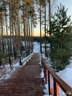 Гор лиственная