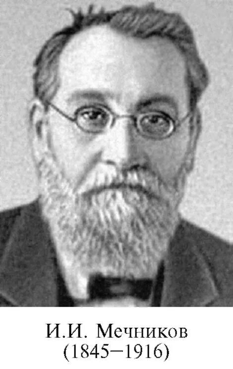 Лев ильич мечников швейцарский географ. Теория географического детерминизма. Теория л мечникова. И. Теория л мечникова.