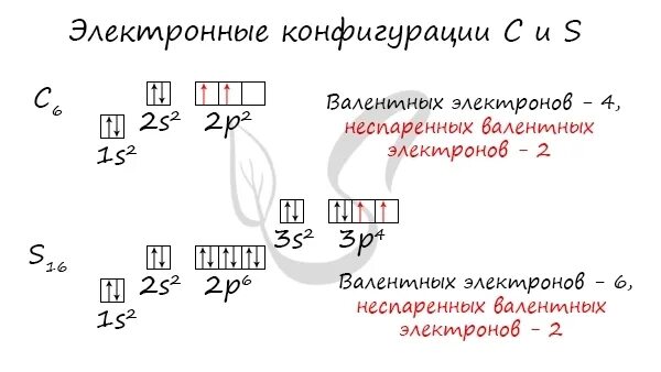 Углерод число внешних электронов. Электронная конфигурация внешнего слоя углерода. электронно графическая схема строения атома углерода. электронная конфигурация внешнего уровня углерода. электронная конфигурация атома углерода.