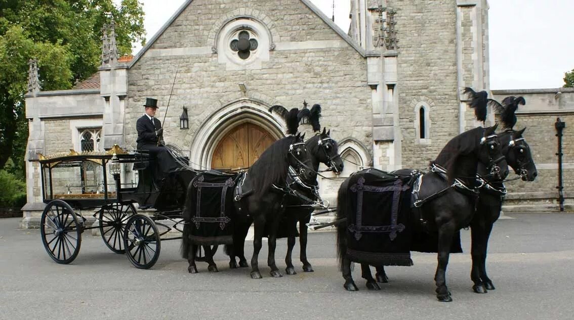Horses funeral. Horses funeral. Band of horses - everything all the time (2006). Band of horses the funeral. Horses funeral.