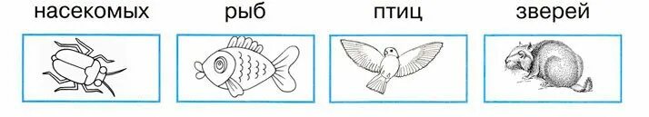 С помощью схематических рисунков главные признаки насекомых. Главные признаки насекомых рыб птиц зверей. Схематические рисунки насекомых рыб птиц зверей. Изобрази с помощью схематических рисунков.