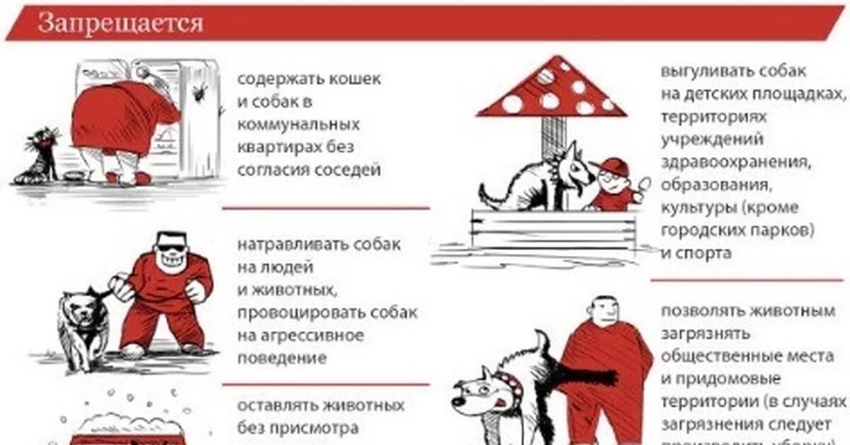 Содержание собак в городе. Правила выгула собак. Правила выгула животных. Содержание домашних животных. Правило выгул домашних животных.