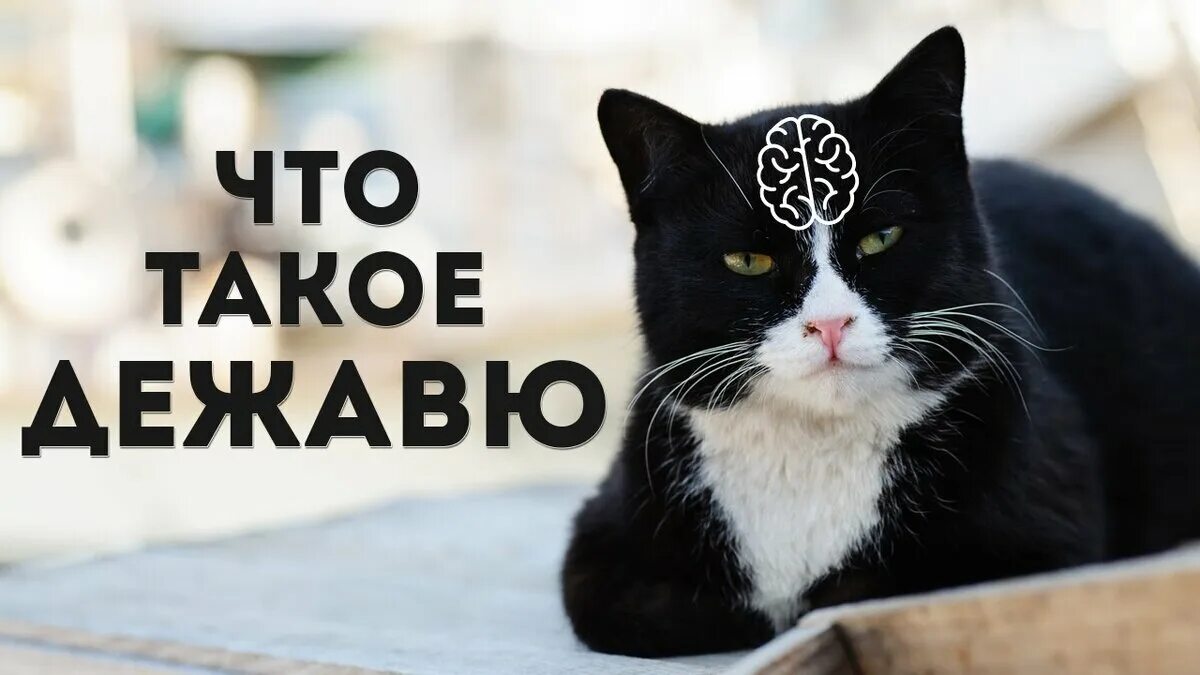 Как работает дежавю. Дежавю картинки. межа вю. картинки с чувством дежавю.