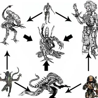 See more 'Hexafusion / Triple Fusion' images on Know Your...