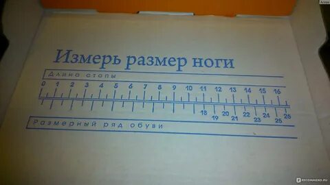 Антилопа размерная сетка детской обуви