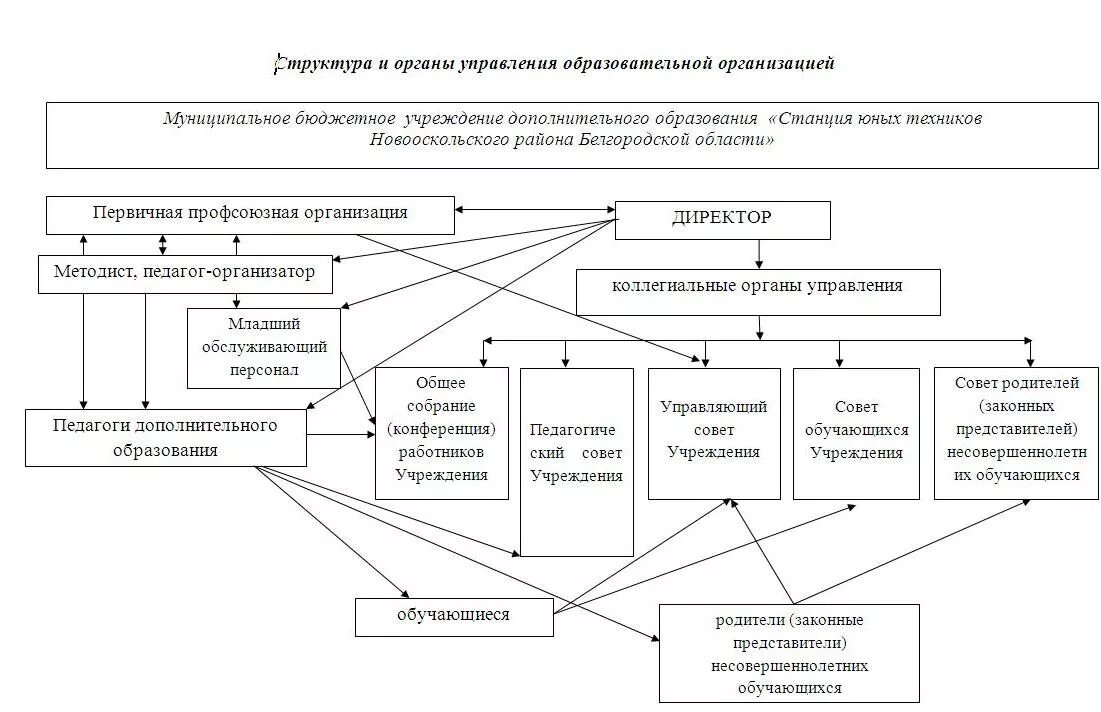 Структура органов управления. Органы управления региона. Коллегиальные органы управления образовательной организацией. Орган управления в первичной профсоюзной организации. Сведения об органах управления